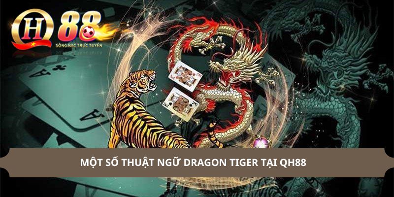 Một số thuật ngữ Dragon Tiger tại QH88